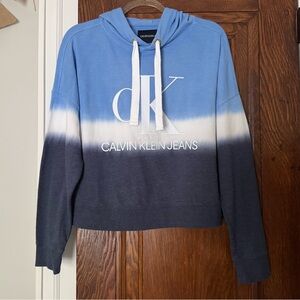 Calvin Klein Blue Gradient Hoodie size S